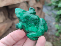 Hand Made Flower Malachite Frog Carvings x 6 From Congo