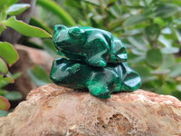 Hand Made Flower Malachite Frog Carvings x 6 From Congo