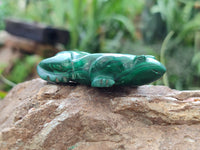 Hand Made Flower Malachite Frog Carvings x 6 From Congo