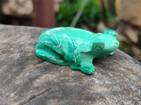 Hand Made Flower Malachite Frog Carvings x 6 From Congo