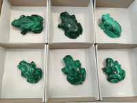 Hand Made Flower Malachite Frog Carvings x 6 From Congo