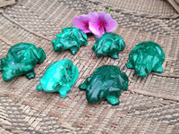 Hand Made Flower Malachite Frog Carvings x 6 From Congo