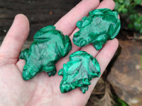 Hand Made Flower Malachite Frog Carvings x 6 From Congo