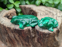 Hand Made Flower Malachite Frog Carvings x 6 From Congo