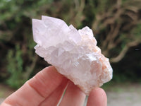 Natural Amethyst Spirit Quartz Clusters x 12 From Boekenhouthoek, South Africa