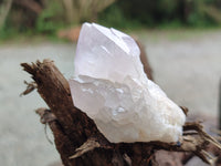 Natural Amethyst Spirit Quartz Clusters x 12 From Boekenhouthoek, South Africa