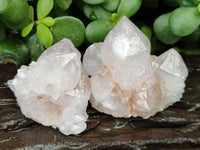 Natural Amethyst Spirit Quartz Clusters x 12 From Boekenhouthoek, South Africa