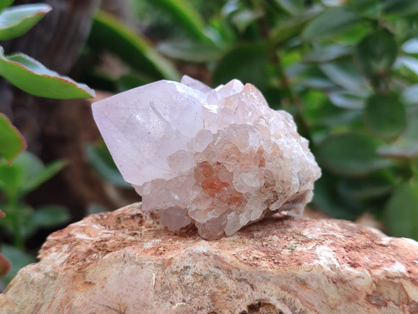 Natural Amethyst Spirit Quartz Clusters x 12 From Boekenhouthoek, South Africa