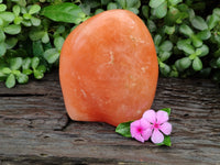 Polished Orange Twist Calcite Standing Free Form x 1 From Madagascar