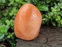 Polished Orange Twist Calcite Standing Free Form x 1 From Madagascar