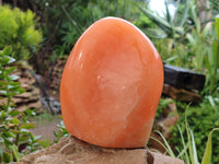 Polished Orange Twist Calcite Standing Free Form x 1 From Madagascar