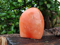 Polished Orange Twist Calcite Standing Free Form x 1 From Madagascar