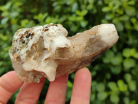 Natural Drusy Quartz Coated Calcite Pseudomorph Specimens x 12 From Alberts Mountain, Lesotho