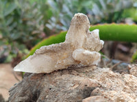 Natural Drusy Quartz Coated Calcite Pseudomorph Specimens x 12 From Alberts Mountain, Lesotho