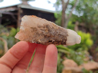 Natural Drusy Quartz Coated Calcite Pseudomorph Specimens x 12 From Alberts Mountain, Lesotho