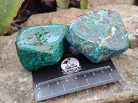 Polished Shattuckite Free Forms x 4 From Congo