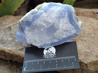 Natural Blue Lace Agate Geode Specimens x 9 From Nsanje, Malawi