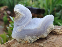 Natural Blue Lace Agate Geode Specimens x 9 From Nsanje, Malawi