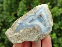 Natural Blue Lace Agate Geode Specimens x 9 From Nsanje, Malawi