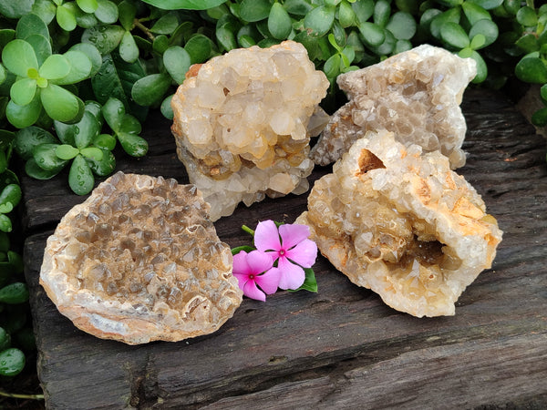 Natural Limonite Quartz Clusters x 4 From Solwezi, Zambia