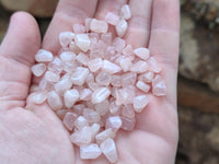 Polished Rose Quartz Chips - sold per kg - From Madagascar