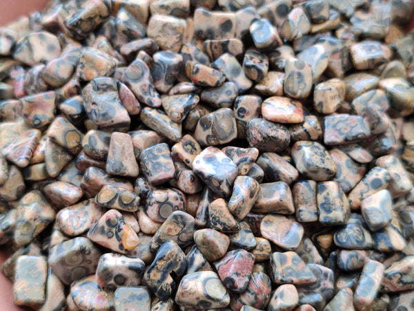 Polished Snakeskin Jasper Chips - sold per kg - From Australia