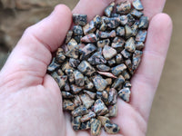 Polished Snakeskin Jasper Chips - sold per kg - From Australia