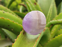 Polished Chevron Amethyst Palm Stones x 20 from Ankazobe, Madagascar