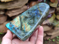 Polished Labradorite Standing Free Forms x 3 From Tulear, Madagascar