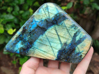 Polished Labradorite Standing Free Forms x 3 From Tulear, Madagascar