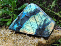 Polished Labradorite Standing Free Forms x 3 From Tulear, Madagascar