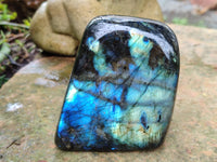 Polished Labradorite Standing Free Forms x 3 From Tulear, Madagascar