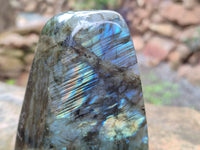 Polished Labradorite Standing Free Forms x 3 From Tulear, Madagascar