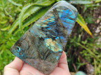 Polished Labradorite Standing Free Forms x 3 From Tulear, Madagascar