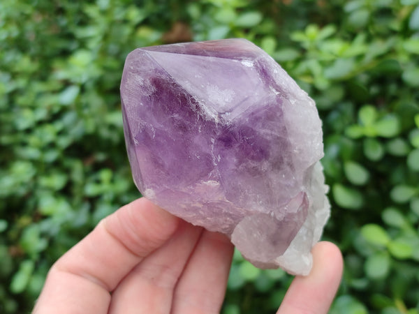 Polished Jacaranda Amethyst Quartz Crystals x 6 From Zambia