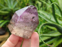 Polished Smokey Window Amethyst Quartz Crystals x 6 From Akansobe, Madagascar