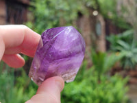 Polished Smokey Window Amethyst Quartz Crystals x 6 From Akansobe, Madagascar