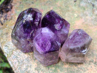 Polished Smokey Window Amethyst Quartz Crystals x 6 From Akansobe, Madagascar