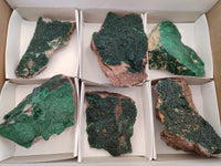 Natural Botryoidal Malachite Specimens x 6 From Congo