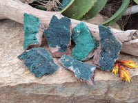 Natural Botryoidal Malachite Specimens x 6 From Congo