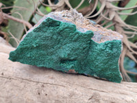 Natural Botryoidal Malachite Specimens x 6 From Congo