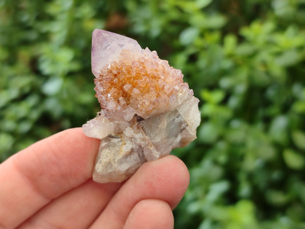 Natural Amethyst Spirit Quartz Crystals x 70 From Boekenhouthoek, South Africa