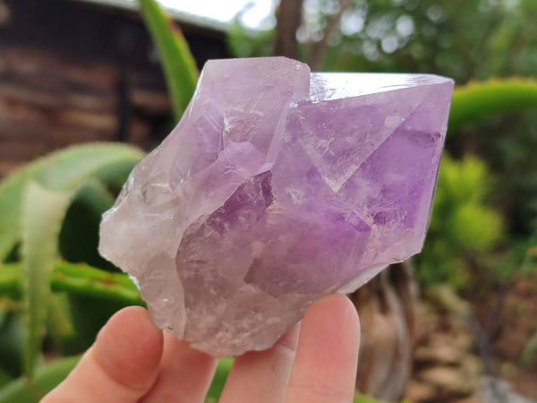 Natural Jacaranda Amethyst Quartz Crystals x 6 from Mumbwa, Zambia