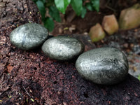 Polished Rare Pharaoh Stone Pyrite in Basalt Galet-Palm Stones x 12 Iron Duke Mine, Zimbabwe