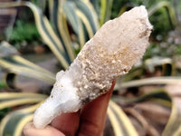 Natural Drusy Quartz Coated Calcite Pseudomorph Specimens x 12 From Alberts Mountain, Lesotho