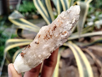 Natural Drusy Quartz Coated Calcite Pseudomorph Specimens x 12 From Alberts Mountain, Lesotho