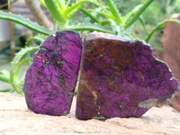 Polished On One Side Purpurite Specimens x 6 From Namibia