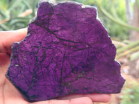 Polished On One Side Purpurite Specimens x 6 From Namibia