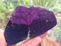 Polished On One Side Purpurite Specimens x 6 From Namibia