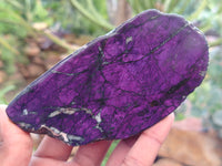 Polished On One Side Purpurite Specimens x 6 From Namibia